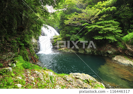 Shizuku Falls [Susami Town, Wakayama Prefecture] 116446317