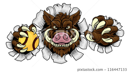 Boar Wild Hog Razorback Warthog Softball Mascot 116447133