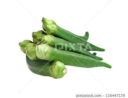 raw okra isolated raw okra isolated 116447179
