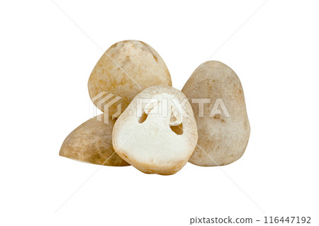 Straw mushroom isolated Straw mushroom isolated 116447192