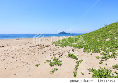 Koijigahama Beach at Cape Irago, Tahara City, Aichi Prefecture Koijigahama Beach at Cape Irago, Tahara City, Aichi Prefecture 116447393