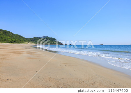Koijigahama Beach at Cape Irago, Tahara City, Aichi Prefecture 116447400