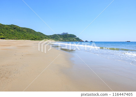 Koijigahama Beach at Cape Irago, Tahara City, Aichi Prefecture 116447405