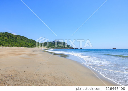 Koijigahama Beach at Cape Irago, Tahara City, Aichi Prefecture 116447408