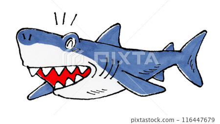 Happy Shark Happy Shark 116447679