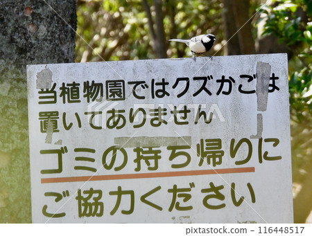 Great tit and signboard Great tit and signboard 116448517