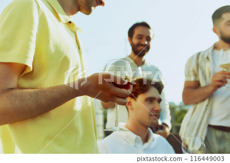 Friends enjoy sunlit gathering, raising their glasses in toast to celebrate moment. Selective focus. 116449003