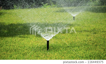 Sprinklers watering a lush green lawn, highlighting irrigation and garden maintenance in a vibrant outdoor setting. 116449375
