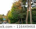 The road leading to Kenrokuen 116449468