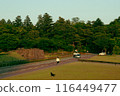 View of Kenrokuen and stone walls from the park 116449477