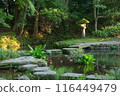 Lanterns and stepping stones 116449479