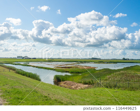 Groningen, Netherlands - August 9th 2023: Partially flooded coastal zone of the North Sea, seen from a dyke Groningen, Netherlands - August 9th 2023: Partially flooded coastal zone of the North Sea, seen from a dyke 116449625