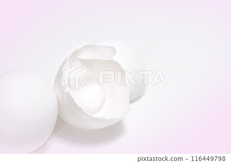 Eggshell membrane Eggshell membrane 116449798