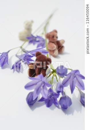 紫色小椴花和泰迪熊 116450094