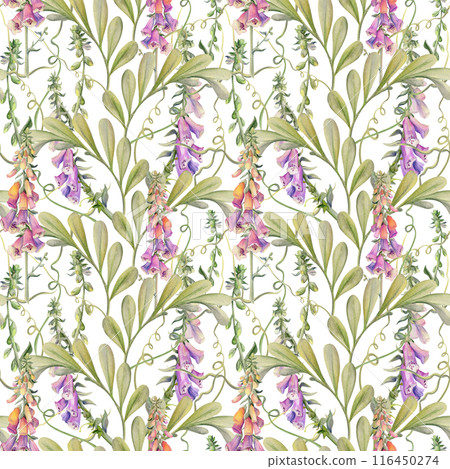 Hand drawn watercolor illustration boho botanical flowers leaves. Foxglove snapdragon lupin, willow eucalyptus, locust indigofera. Seamless pattern isolated on white. Design wedding, cards, gift paper Hand drawn watercolor illustration boho botanical flowers leaves. Foxglove snapdragon lupin, willow eucalyptus, locust indigofera. Seamless pattern isolated on white. Design wedding, cards, gift paper 116450274