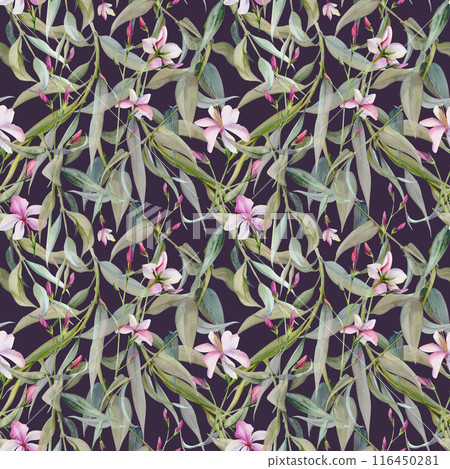 Hand drawn watercolor illustration botanical leaves. Osier willow eucalyptus laurel branch, Clematis lobelia impatiens jasmine, orange flower. Seamless pattern isolated on dark. Wedding, love cards 116450281