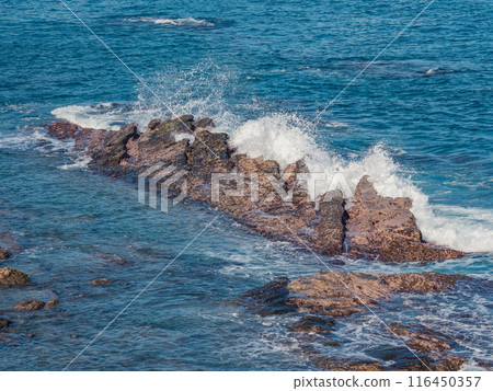Taitung Caroline Coast Taitung Caroline Coast 116450357