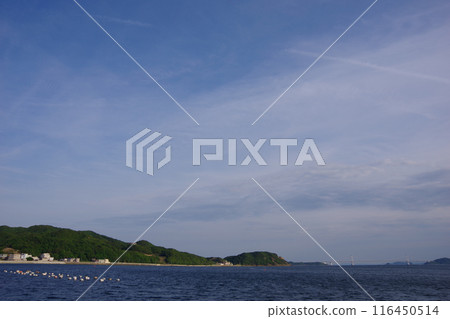 從兵庫縣淡路島海洋展望廣場眺望大鳴門大橋 116450514