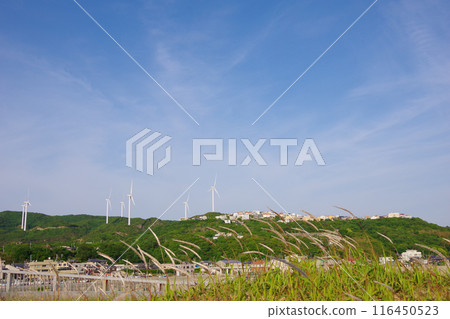從兵庫縣淡路島的觀海廣場眺望晴美丘 從兵庫縣淡路島的觀海廣場眺望晴美丘 116450523