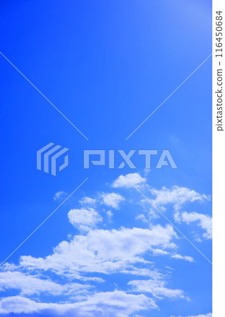 藍天白雲（背景素材） 116450684