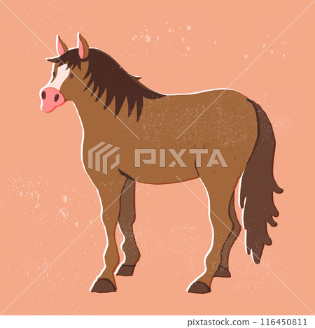 Horse print style illustration 116450811