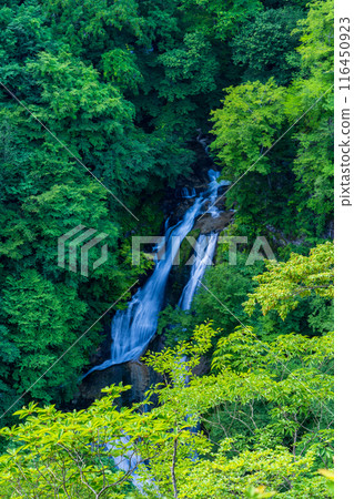 [栃木縣日光市] 夏季日光/霧降瀑布 116450923