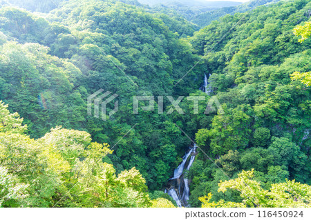 [栃木縣日光市] 夏季日光/霧降瀑布 116450924