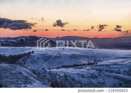 冬天的美原高原,日出前 冬天的美原高原,日出前 116450925
