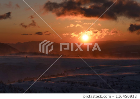 Sunrise on the Utsukushigahara Plateau (Nagano Prefecture) 116450938