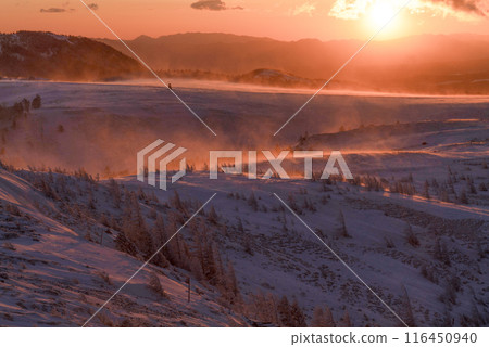 Utsukushigahara高原(長野縣)上的日出 Utsukushigahara高原(長野縣)上的日出 116450940