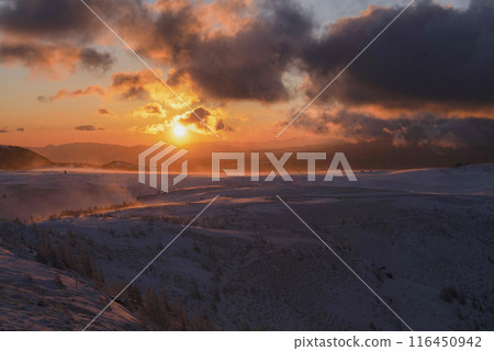 Sunrise on the Utsukushigahara Plateau (Nagano Prefecture) 116450942