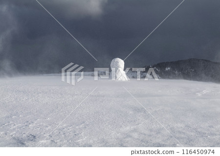 雪地裡的雪人(美原高原) 雪地裡的雪人(美原高原) 116450974