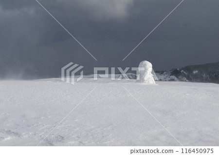 雪地裡的雪人(美原高原) 雪地裡的雪人(美原高原) 116450975