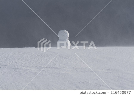 雪地裡的雪人(美原高原) 雪地裡的雪人(美原高原) 116450977