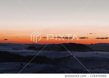 Winter in the Utsukushigahara Plateau before sunrise Winter in the Utsukushigahara Plateau before sunrise 116450980