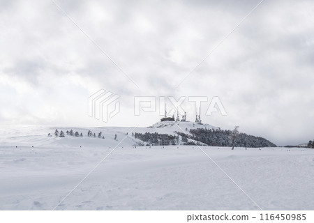 Utsukushigahara Plateau in winter 116450985
