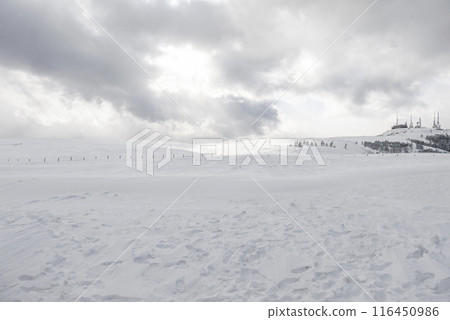 冬天的宇塚原高原 116450986