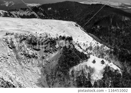 Winter in the Utsukushigahara Plateau: Eboshi Rock (monochrome) 116451002