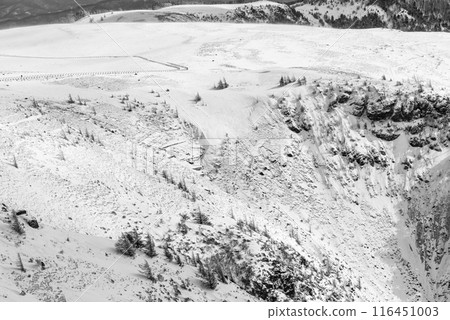 Utsukushigahara Plateau in winter (monochrome) 116451003