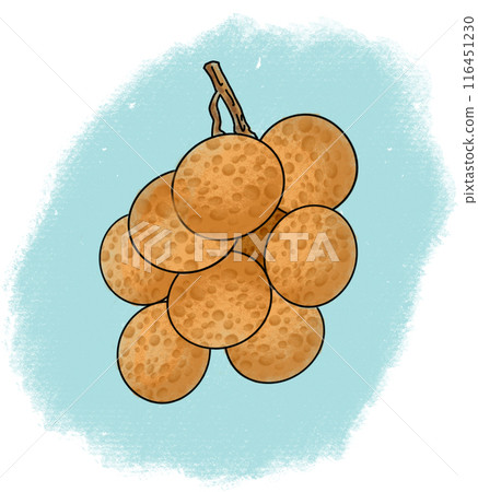 The longan drawing png image 116451230