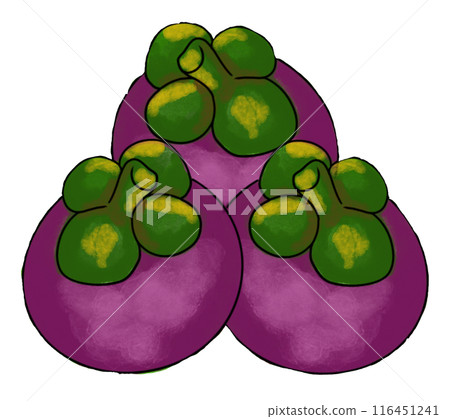 The mangosteen drawing png image The mangosteen drawing png image 116451241
