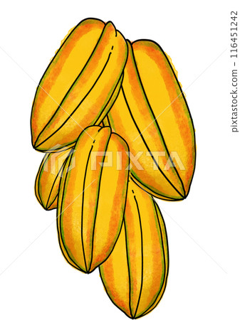 The starfruit drawing png image 116451242