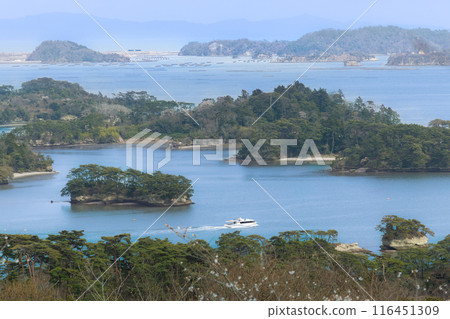松島公園,日本三大名勝之一的松島 松島公園,日本三大名勝之一的松島 116451309
