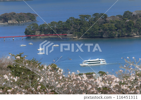 松島公園,日本三大名勝之一的松島 松島公園,日本三大名勝之一的松島 116451311