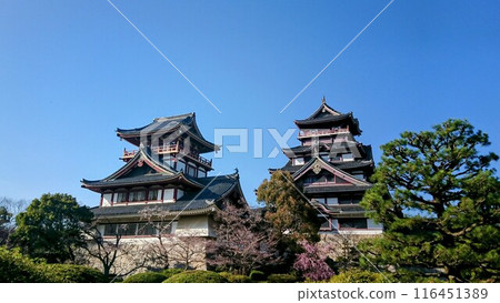 伏見 - 滿山城堡 伏見 - 滿山城堡 116451389