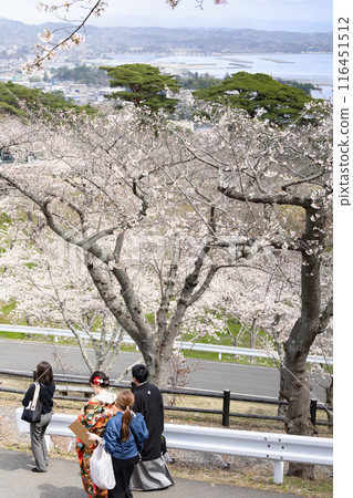 松島公園,日本三大名勝之一的松島 松島公園,日本三大名勝之一的松島 116451512
