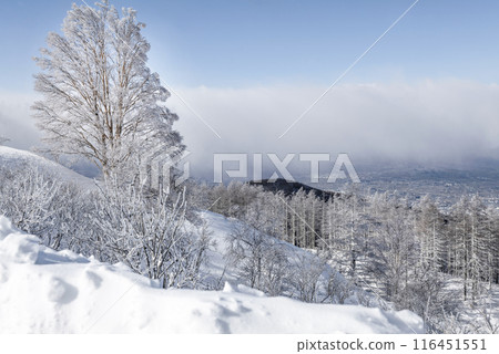 Winter scenery seen from the Utsukushigahara Park offshore line (Prefectural Route 62) Winter scenery seen from the Utsukushigahara Park offshore line (Prefectural Route 62) 116451551