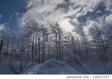 逆光下漂浮的雪景(美原公園近海線) 逆光下漂浮的雪景(美原公園近海線) 116451557