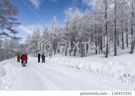 Snow scenery along the coast of Utsukushigahara Park (Prefectural Route 62) 116451591