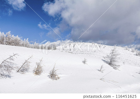 美原公園隱岐線(縣道62號線)沿線的雪景 美原公園隱岐線(縣道62號線)沿線的雪景 116451625